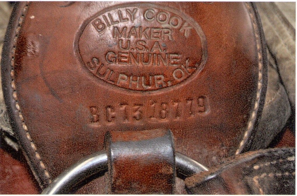 Drivers License Marking on Saddle